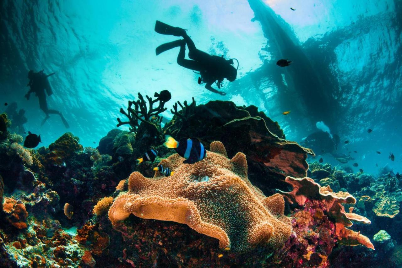 Golden Arraial do Cabo